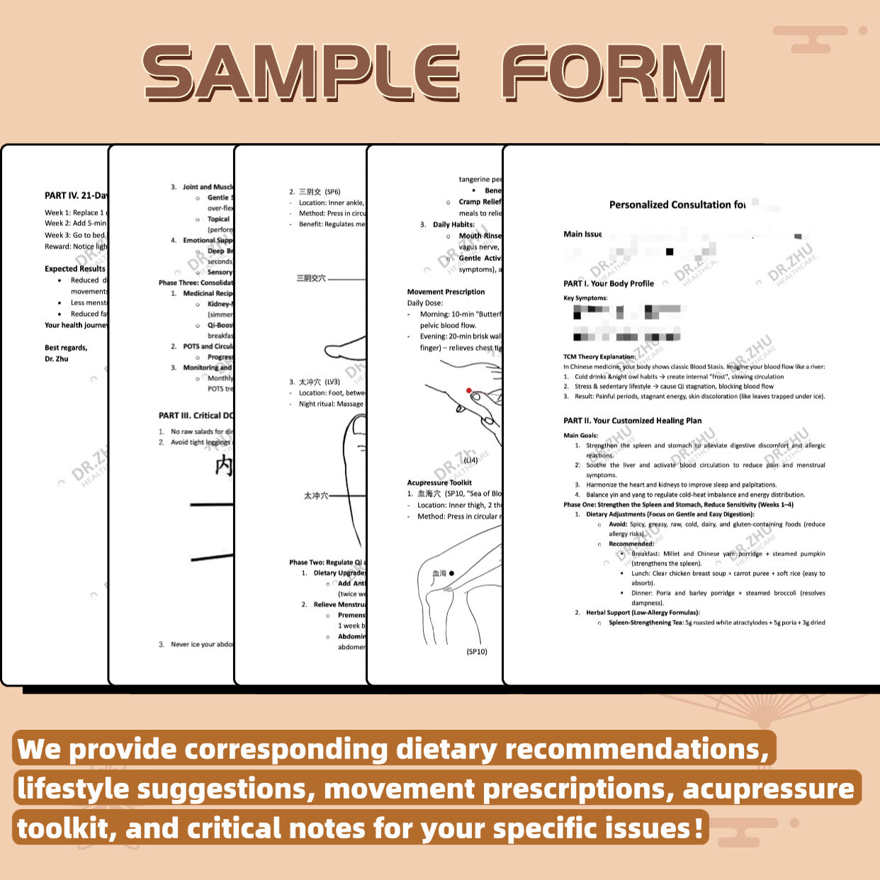 TCM Wellness Plan by DR.ZHU